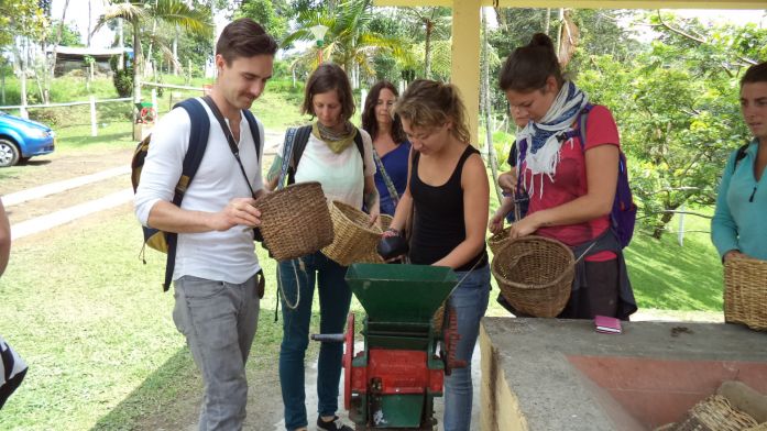 Coffee tour Premium, Finca el Ocaso - Salento 2